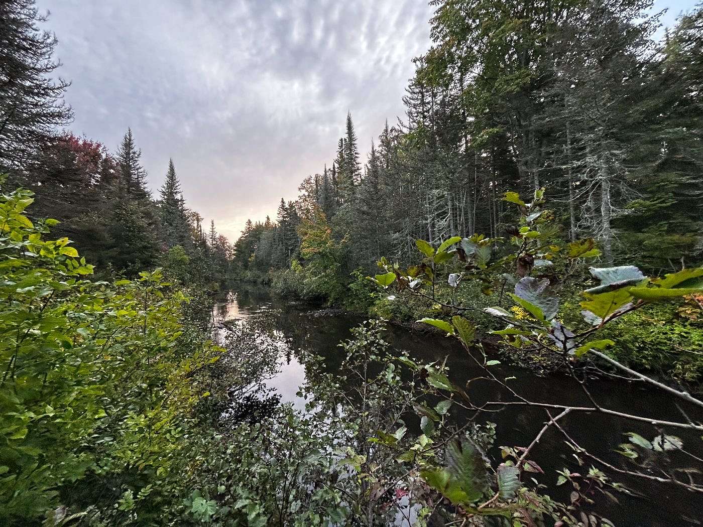 6.24 Acres of Residential Land for Sale in Sherman Township, Michigan