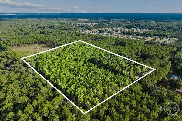 12 Acres of Land for Sale in Ellabell, Georgia