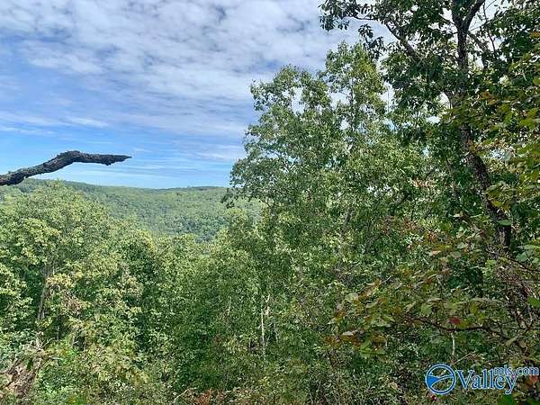 2.8 Acres of Land for Sale in Gurley, Alabama