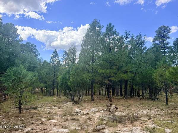 0.93 Acres of Residential Land for Sale in Happy Jack, Arizona