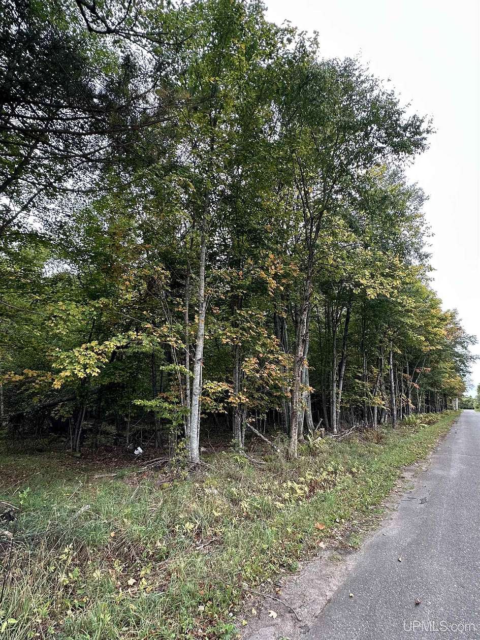 5 Acres of Residential Land for Sale in Iron River, Michigan