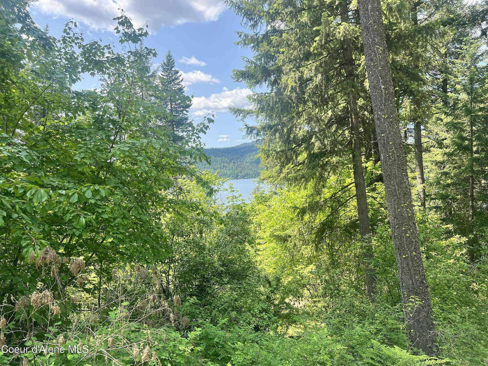 0.31 Acres of Residential Land for Sale in Harrison, Idaho