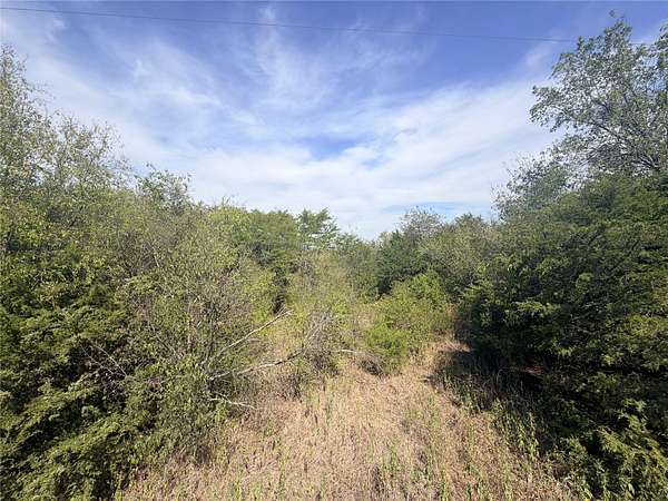 2.58 Acres of Residential Land for Sale in Wills Point, Texas