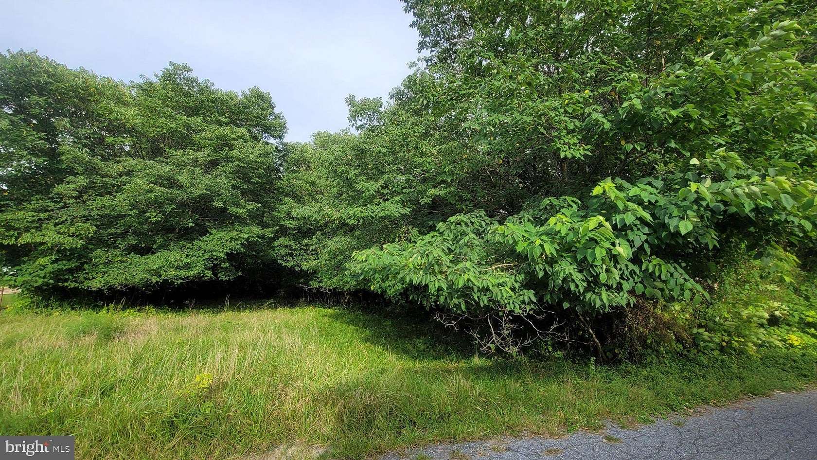 0.36 Acres of Land for Sale in Centreville, Maryland