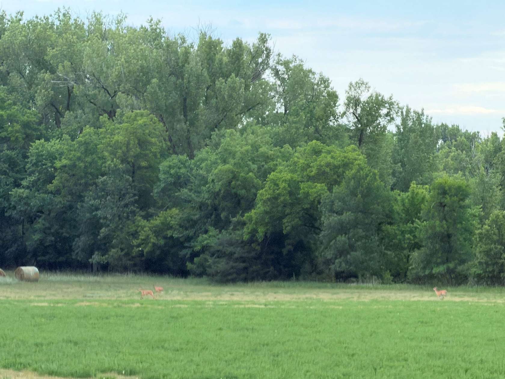 40 Acres of Recreational Land for Sale in Verdigre, Nebraska