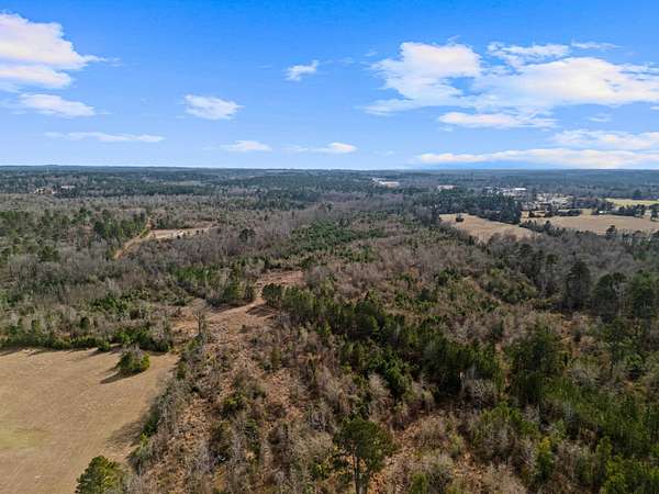 64.5 Acres of Recreational Land for Sale in Longview, Texas