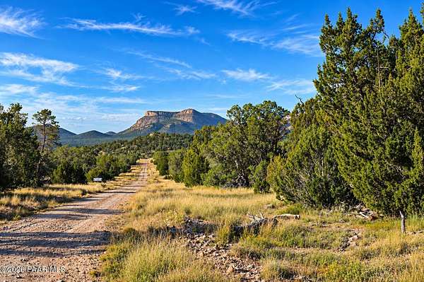 36.8 Acres of Recreational & Residential Land for Sale in Seligman, Arizona
