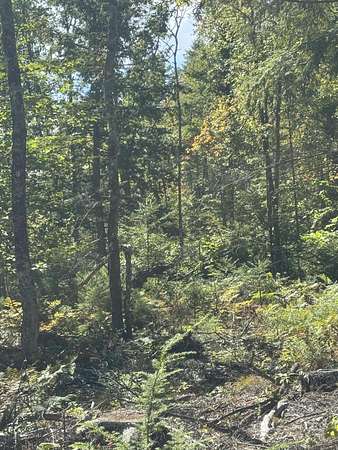 5 Acres of Land for Sale in Lovell, Maine
