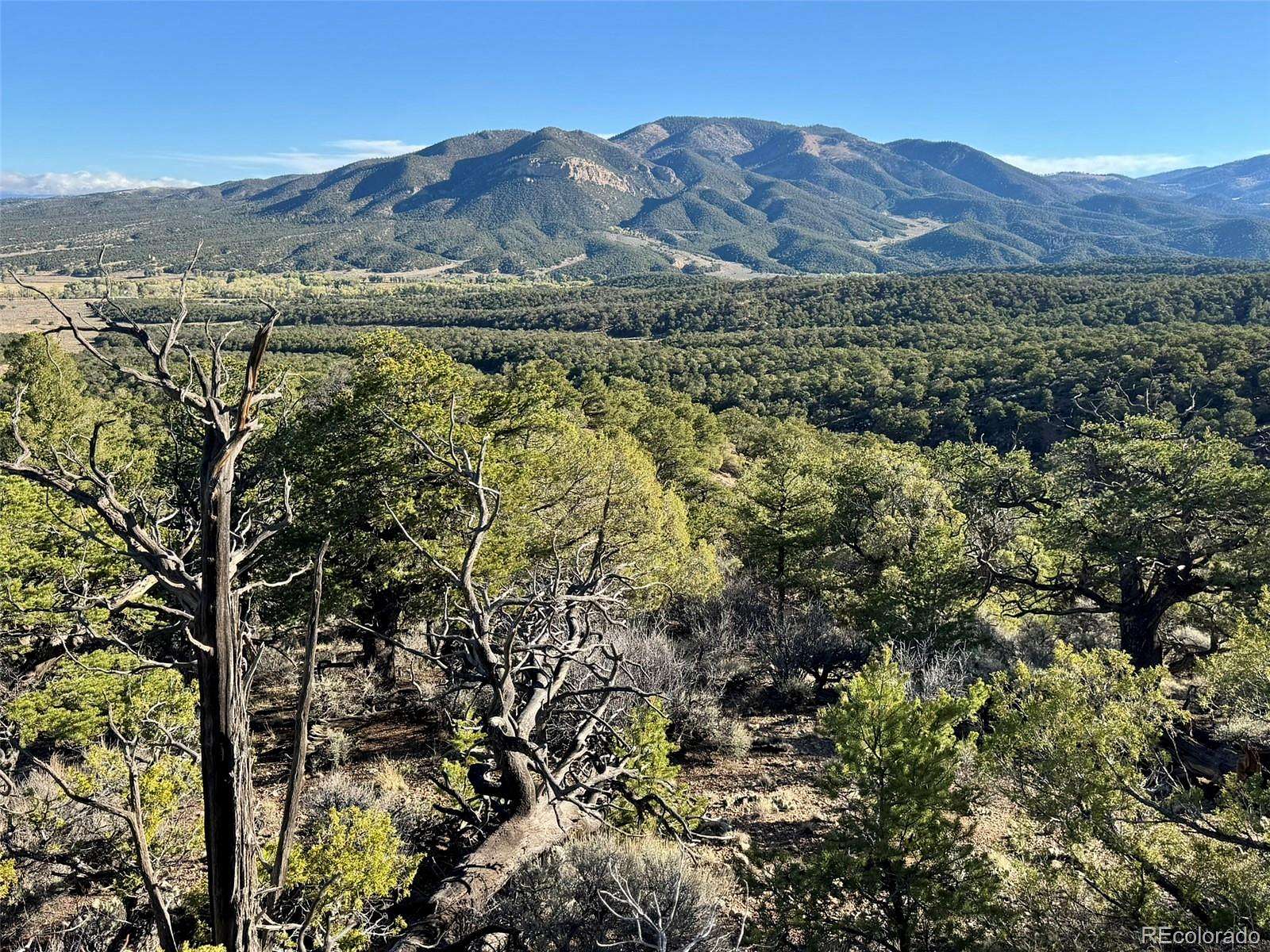 6.7 Acres of Land for Sale in Fort Garland, Colorado