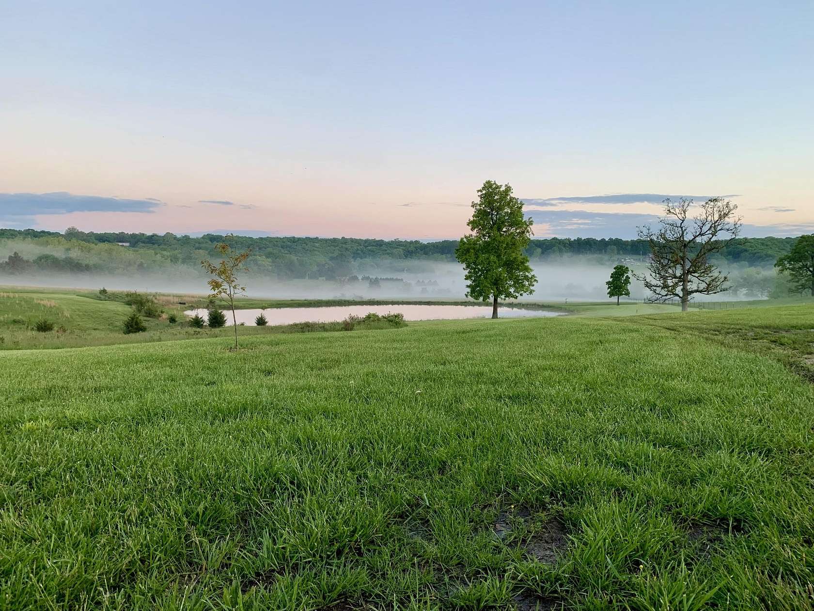 30.5 Acres of Land for Sale in Long Lane, Missouri