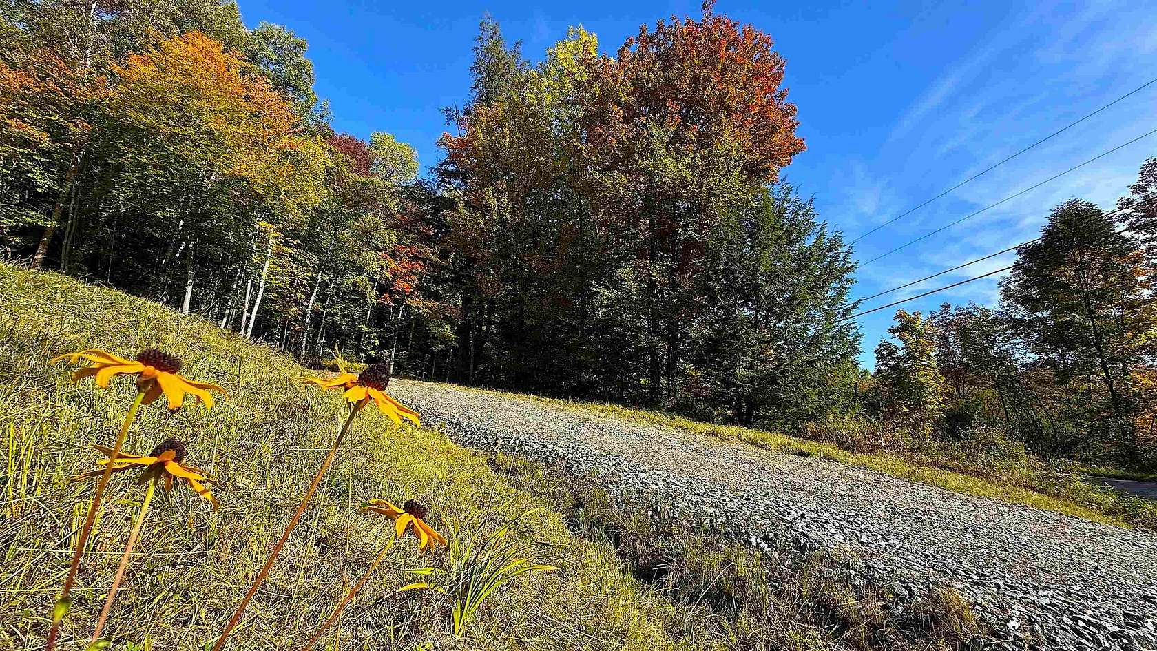1 Acre of Residential Land for Sale in Elmore Town, Vermont
