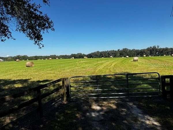 40 Acres of Agricultural Land for Sale in Ocala, Florida