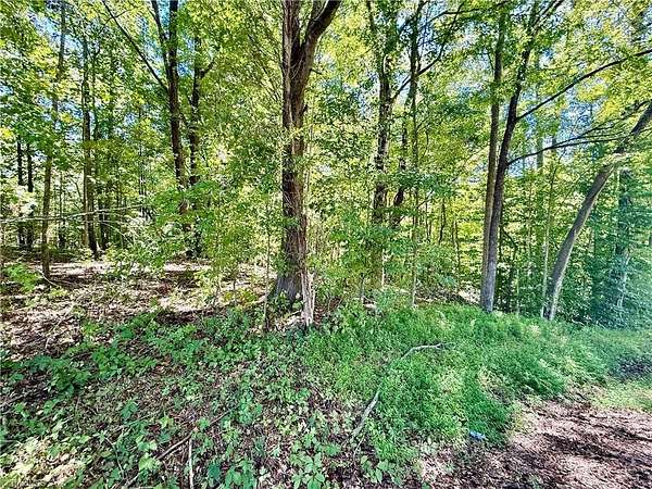 0.99 Acres of Residential Land for Sale in Lexington, North Carolina