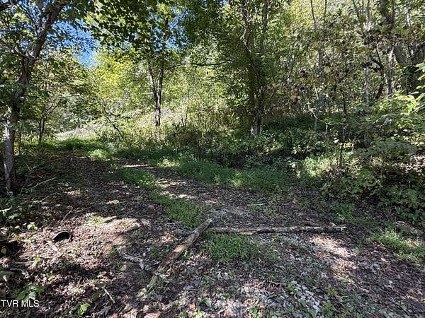 5.8 Acres of Residential Land for Sale in Elizabethton, Tennessee