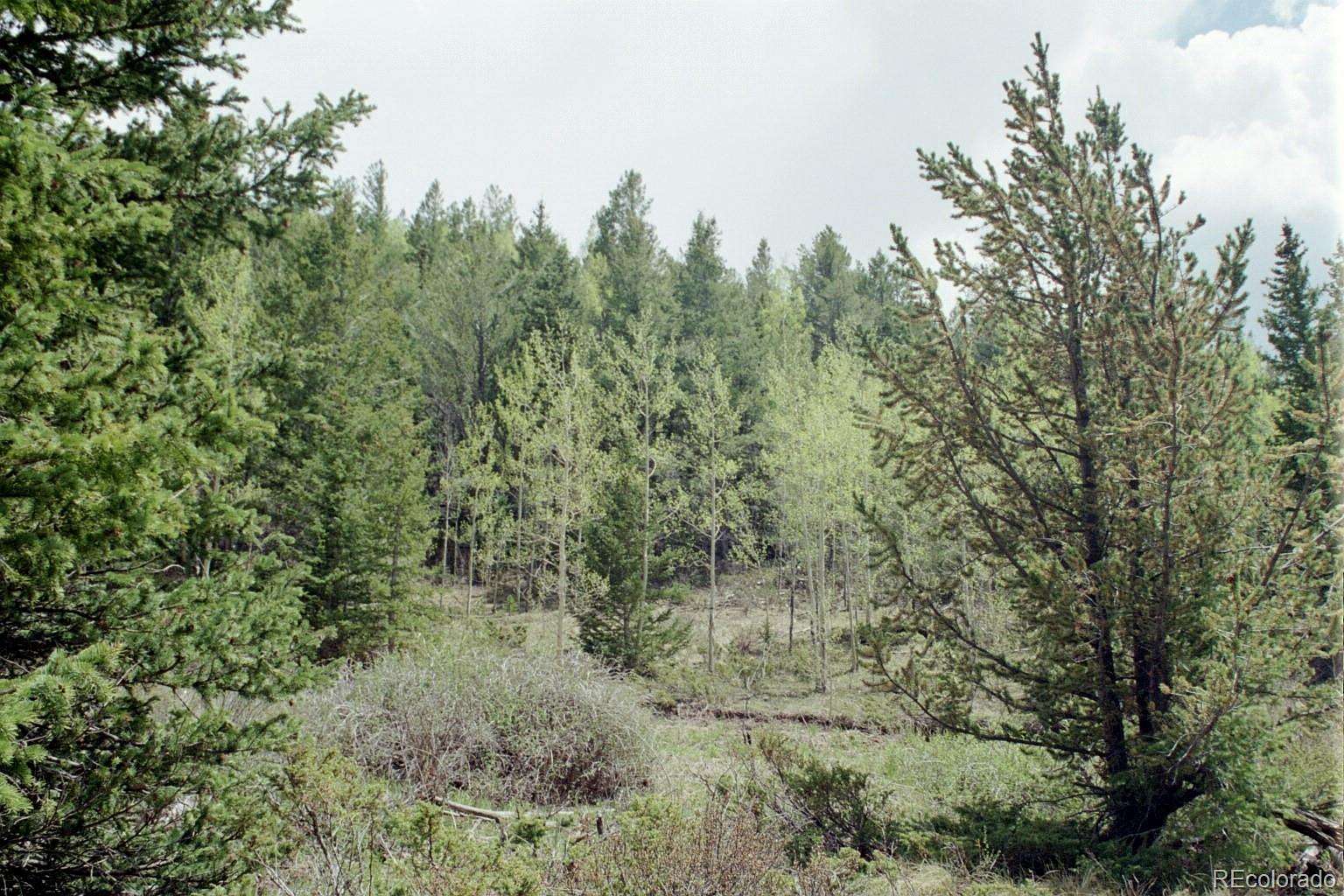 14.2 Acres of Recreational & Residential Land for Sale in Fort Garland, Colorado