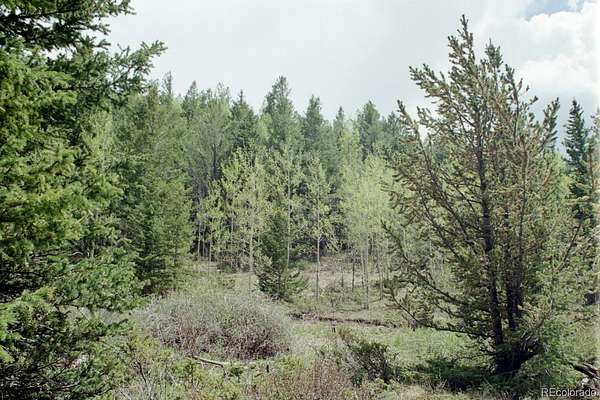 14.2 Acres of Recreational & Residential Land for Sale in Fort Garland, Colorado