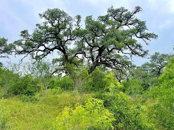 10.4 Acres of Land for Sale in Smiley, Texas
