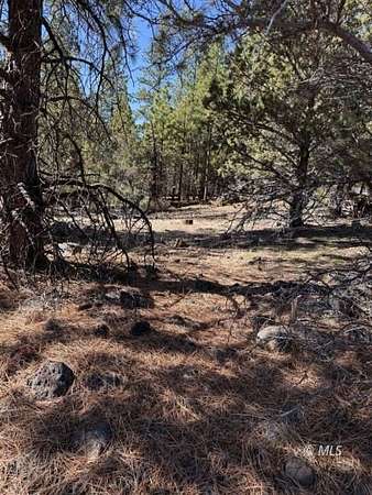 0.97 Acres of Residential Land for Sale in Alturas, California