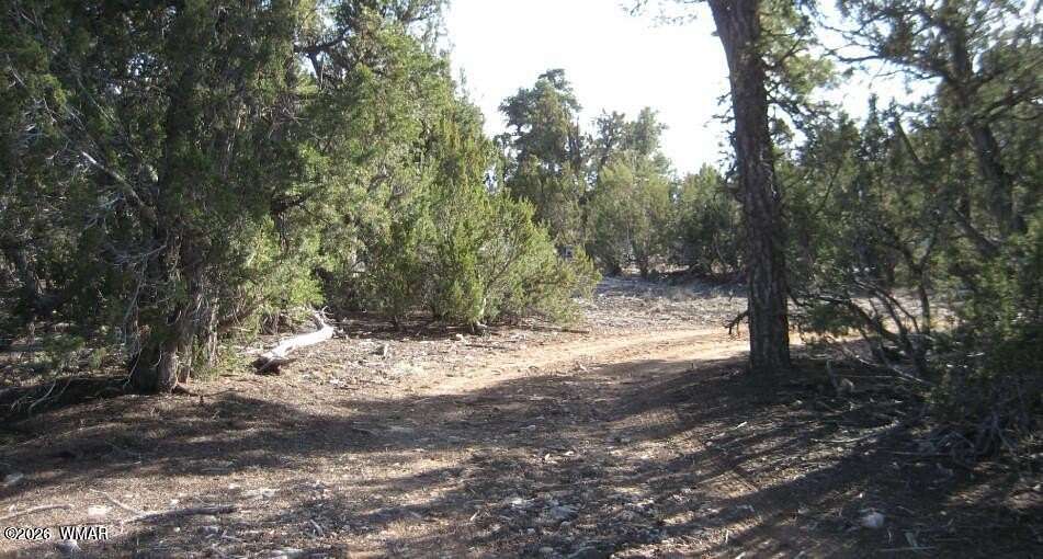 1 Acre of Residential Land for Sale in Overgaard, Arizona