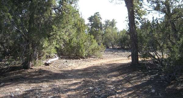 1 Acre of Residential Land for Sale in Overgaard, Arizona
