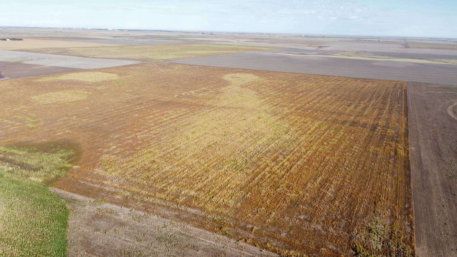 151 Acres of Agricultural Land for Sale in Goodland, Kansas