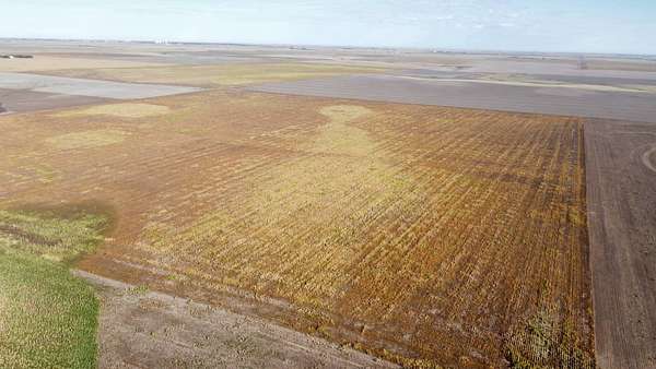 151 Acres of Agricultural Land for Sale in Goodland, Kansas