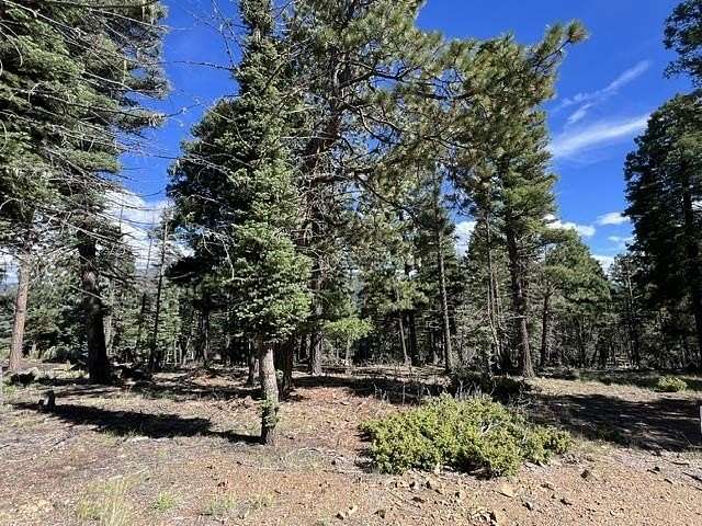 0.56 Acres of Residential Land for Sale in Angel Fire, New Mexico