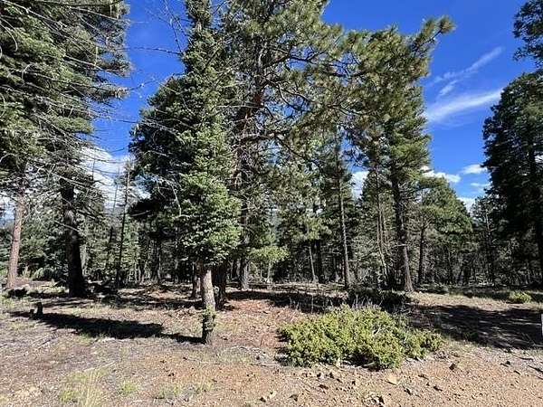 0.56 Acres of Residential Land for Sale in Angel Fire, New Mexico