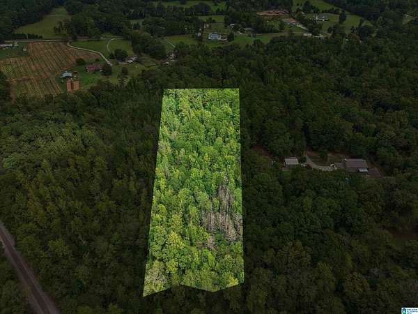 3 Acres of Residential Land for Sale in Vincent, Alabama