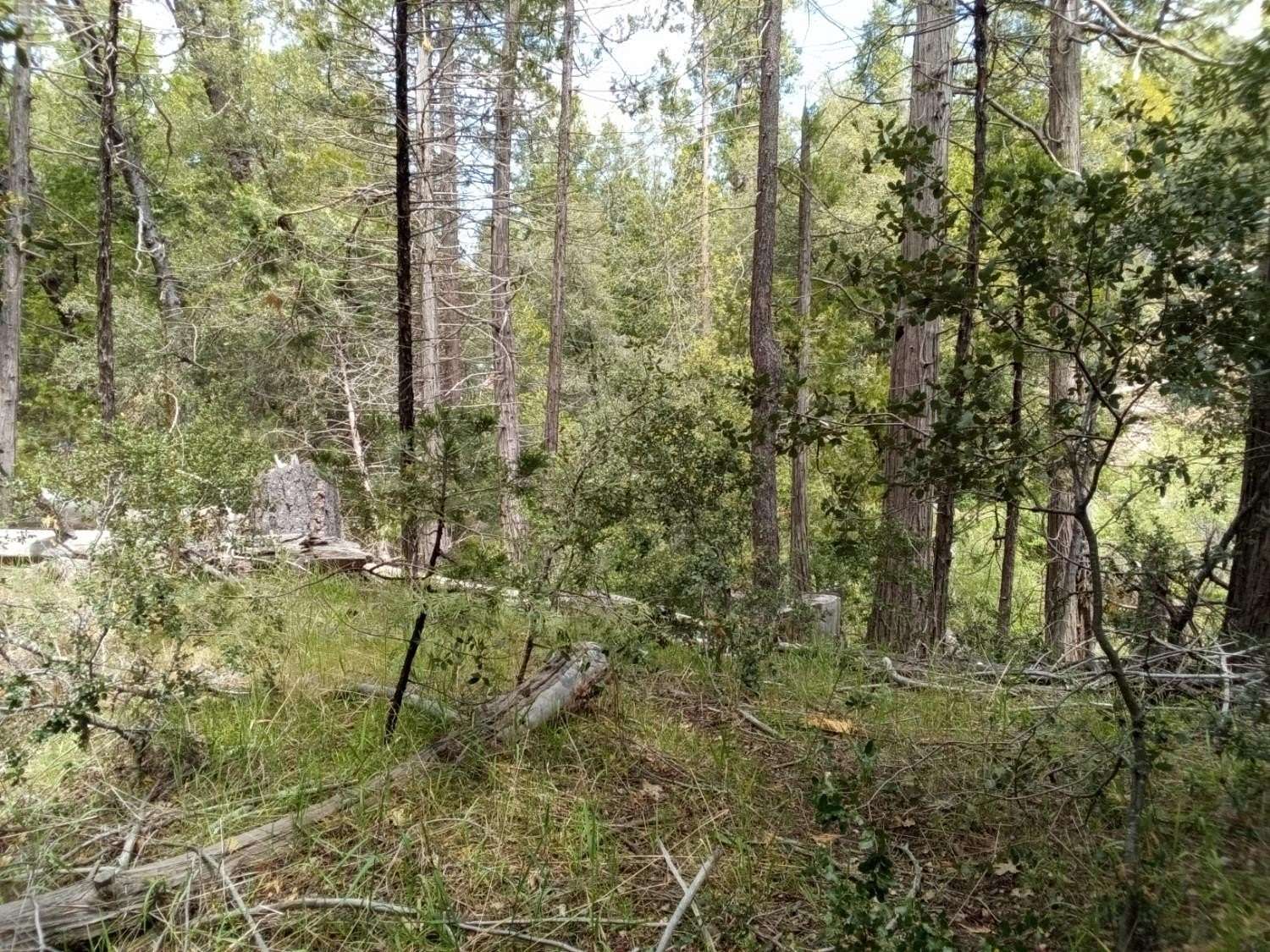 7.1 Acres of Residential Land for Sale in Auberry, California