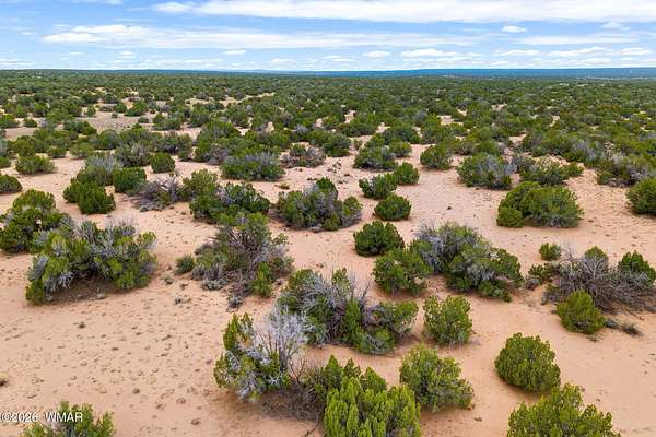 10.1 Acres of Land for Sale in St. Johns, Arizona