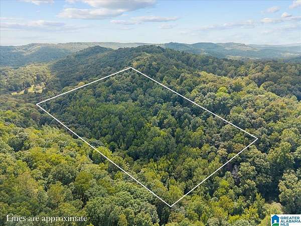 20 Acres of Agricultural Land for Sale in Springville, Alabama