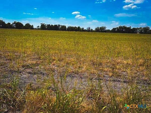 10 Acres of Land for Sale in Thorndale, Texas