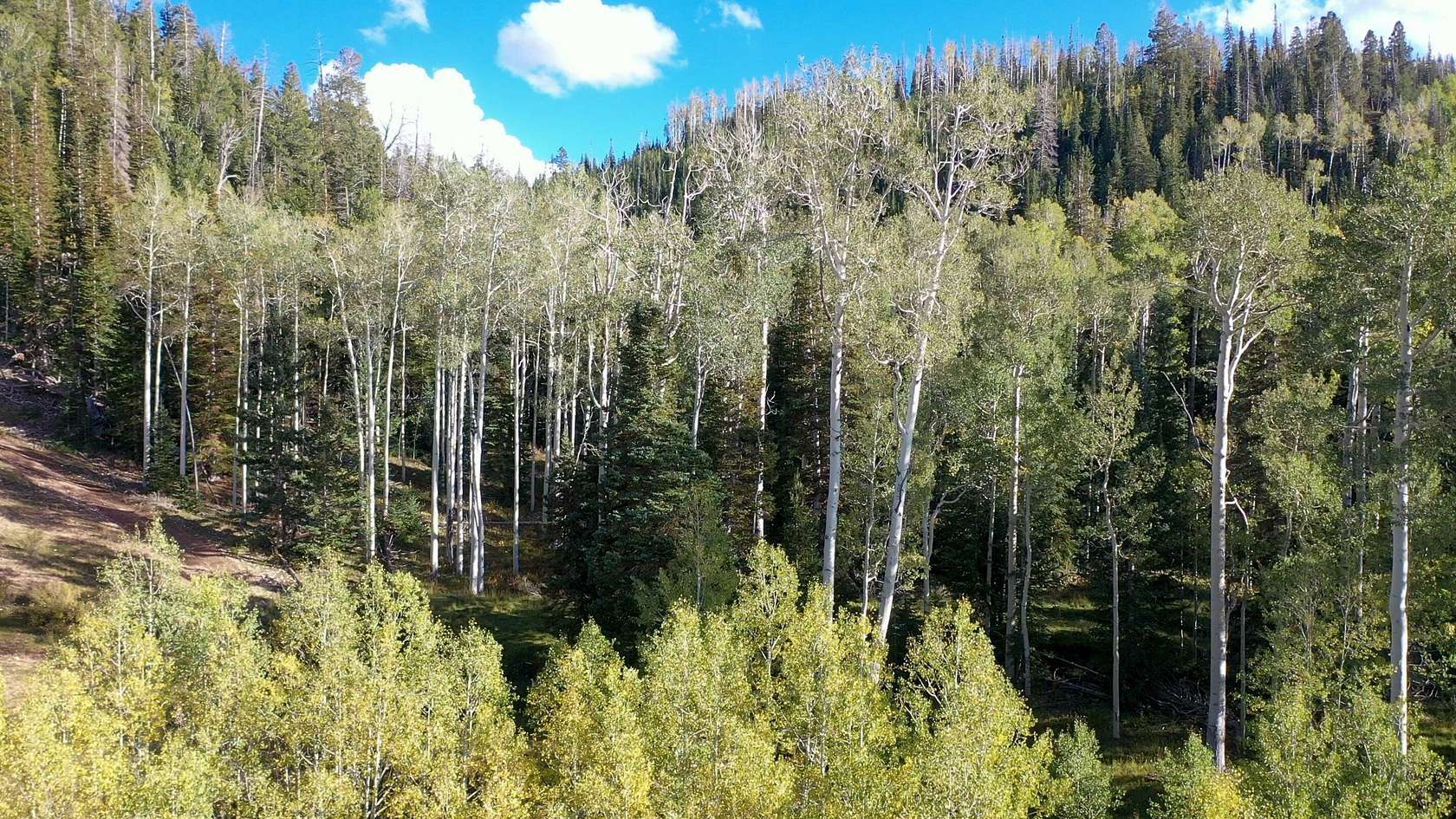 372 Acres of Agricultural & Residential Land for Sale in Brian Head, Utah