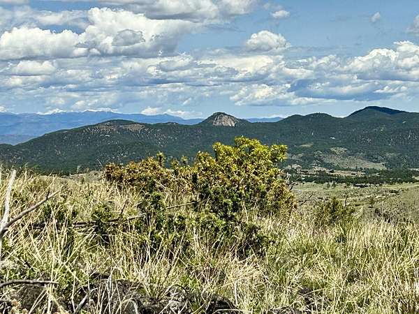 2.5 Acres of Residential Land for Sale in Cotopaxi, Colorado