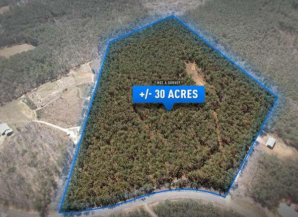 30 Acres of Land for Sale in Iuka, Mississippi