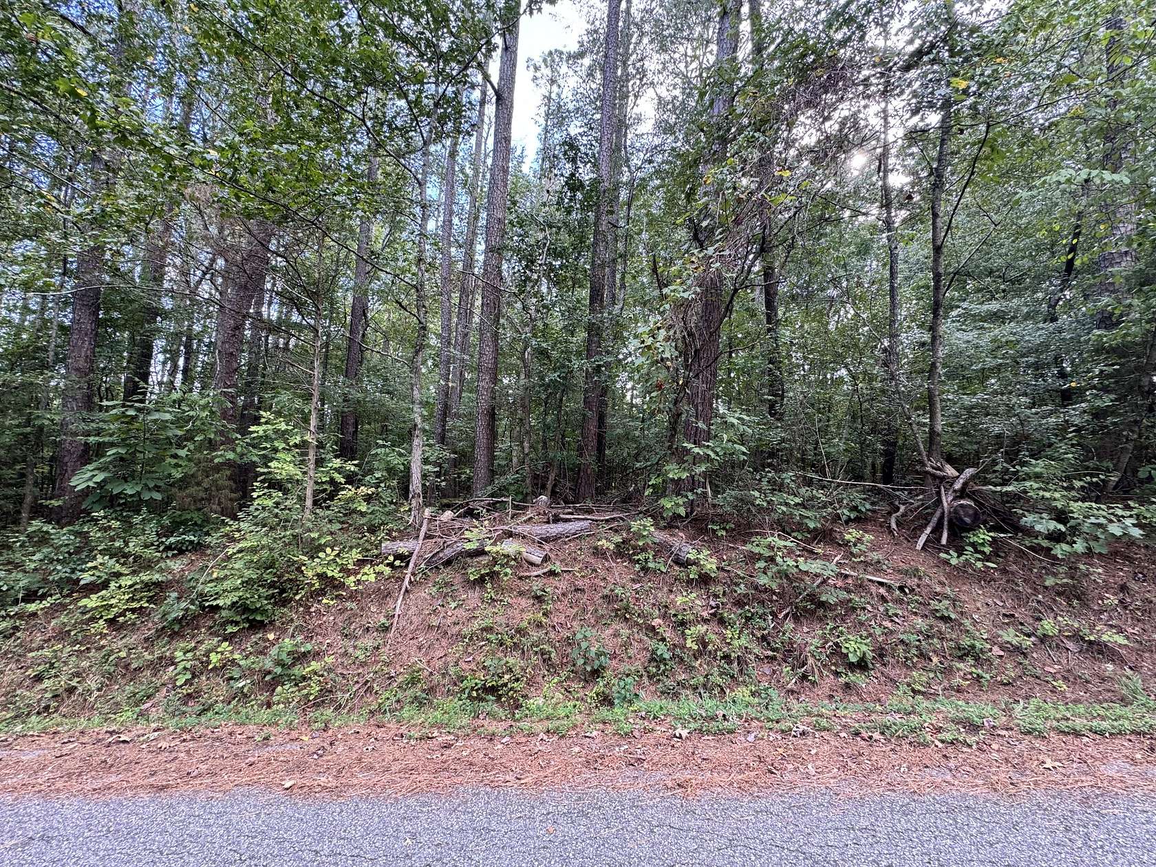 0.17 Acres of Residential Land for Sale in Bumpus Mills, Tennessee