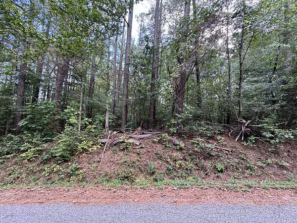 0.17 Acres of Residential Land for Sale in Bumpus Mills, Tennessee