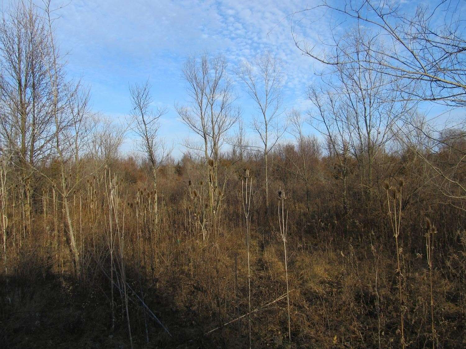 1.5 Acres of Commercial Land for Sale in Merrillville, Indiana