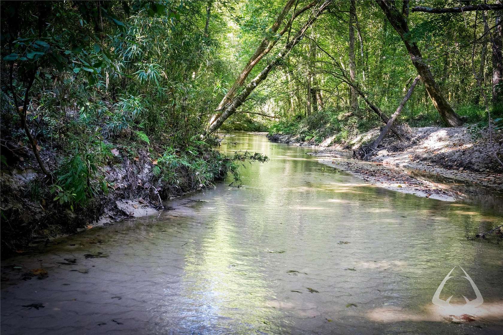 88 Acres of Recreational Land for Sale in Colmesneil, Texas