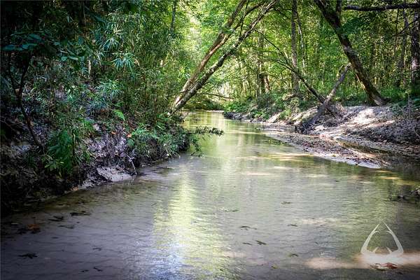 88 Acres of Recreational Land for Sale in Colmesneil, Texas