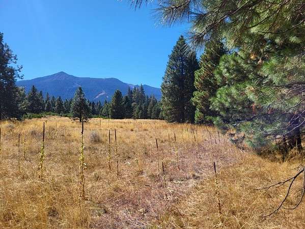 20.6 Acres of Recreational Land for Sale in Weed, California