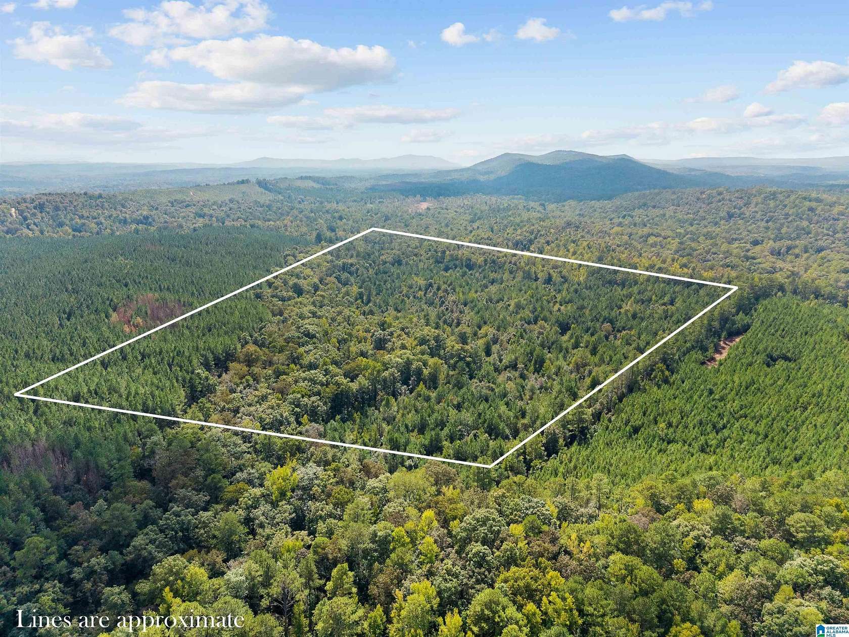 40 Acres of Land for Sale in Pell City, Alabama
