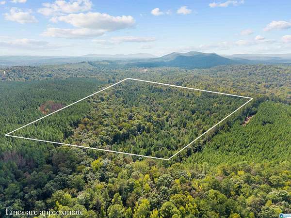 40 Acres of Land for Sale in Pell City, Alabama
