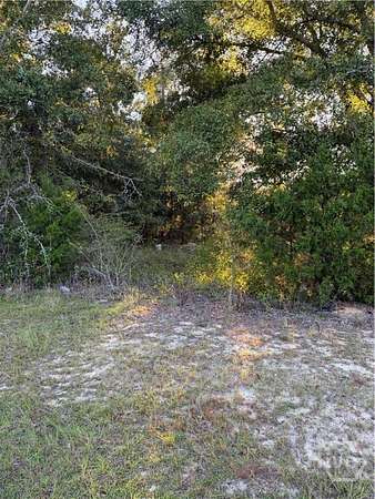 10 Acres of Residential Land for Sale in Swainsboro, Georgia