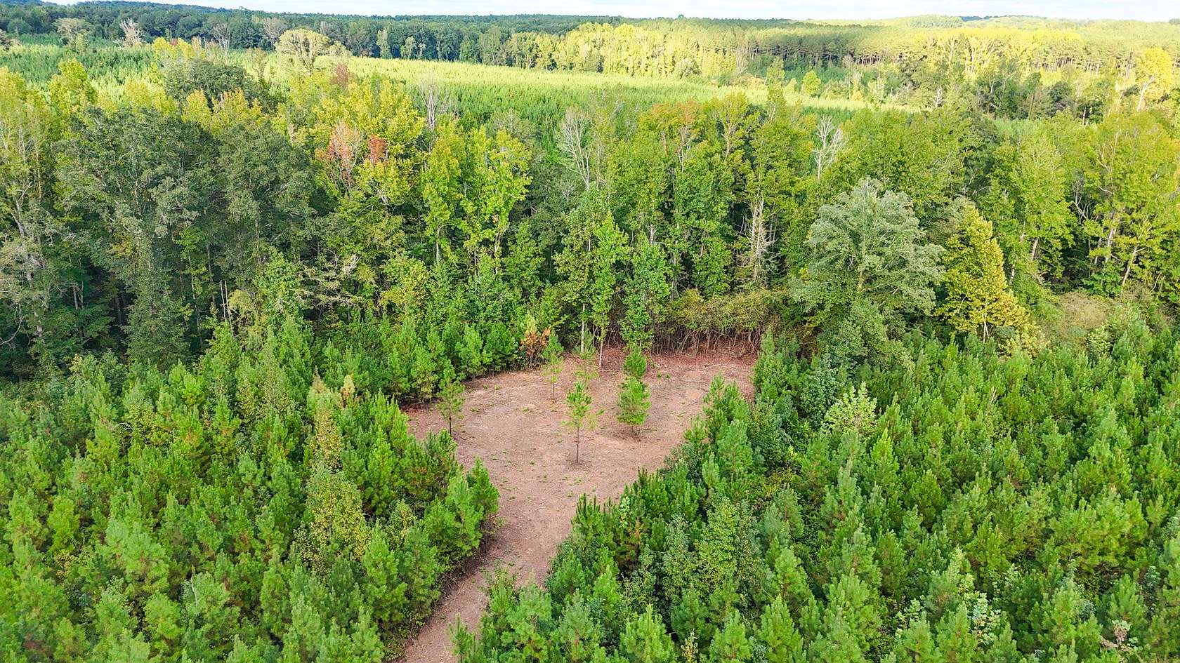 5 Acres of Residential Land for Sale in La Fayette, Alabama