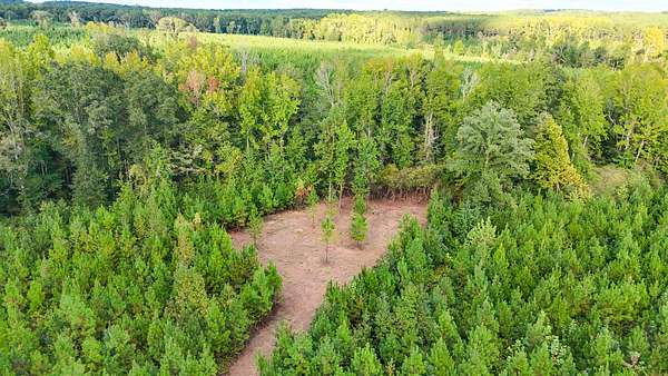 5 Acres of Residential Land for Sale in La Fayette, Alabama