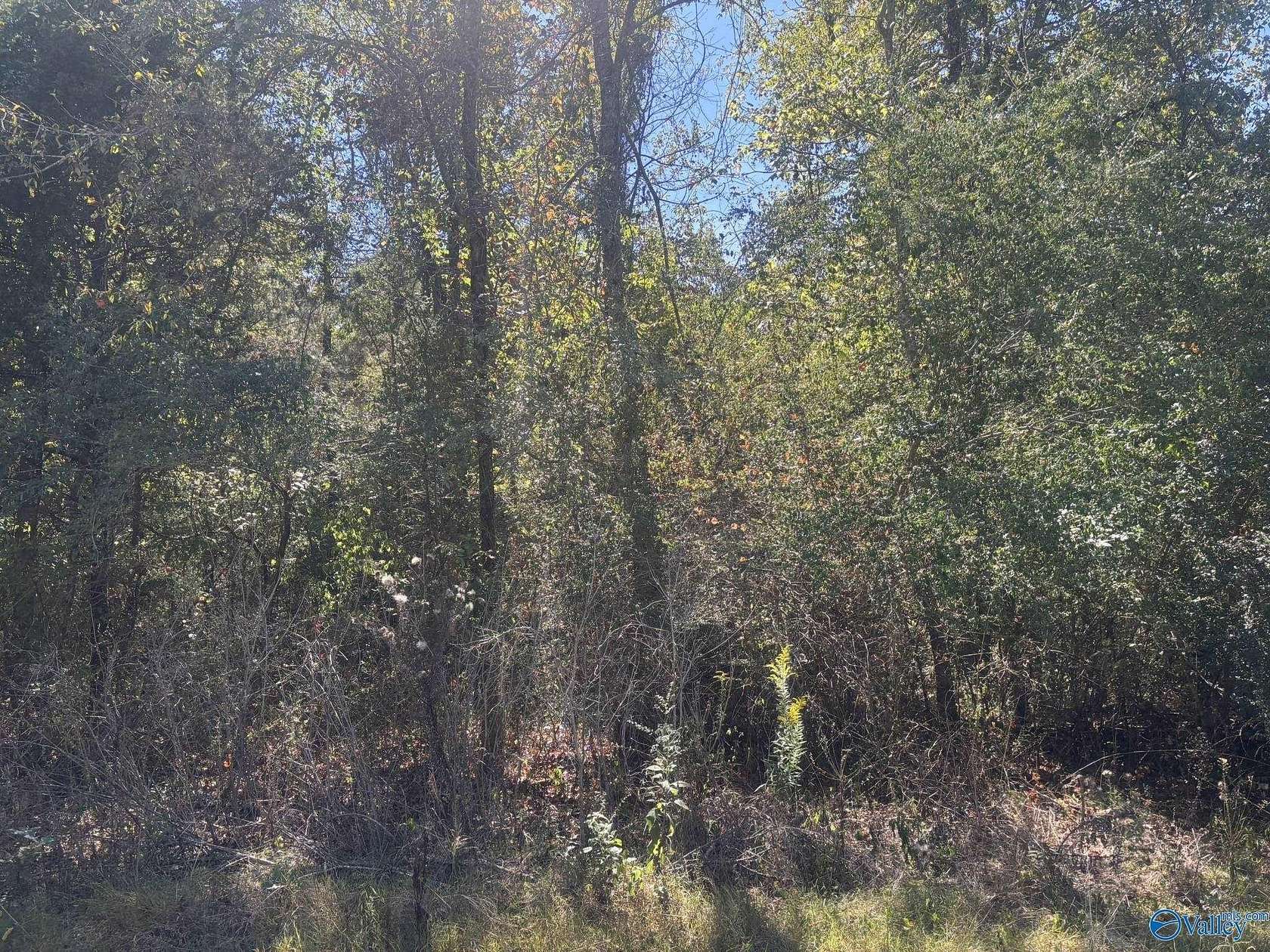 2 Acres of Land for Sale in Bridgeport, Alabama