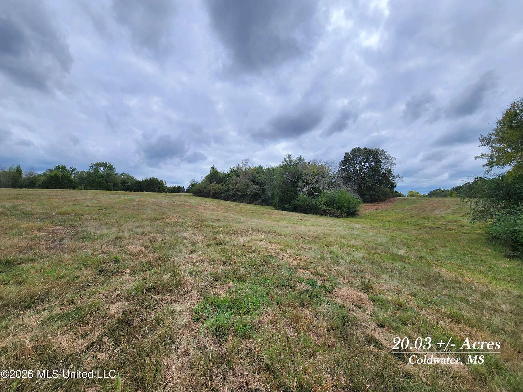 20 Acres of Land for Sale in Coldwater, Mississippi