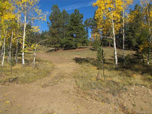 3 Acres of Land for Sale in Hartsel, Colorado